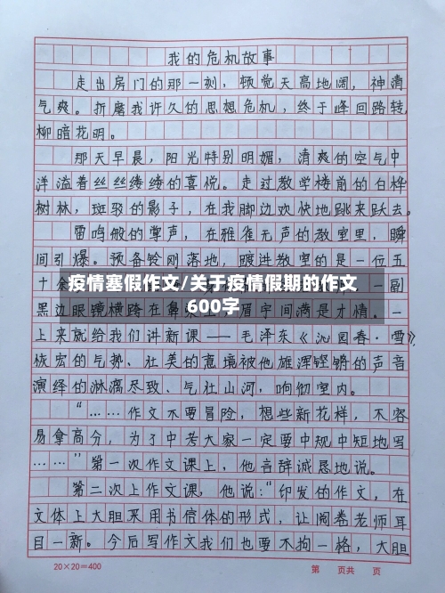 疫情塞假作文/关于疫情假期的作文600字-第2张图片